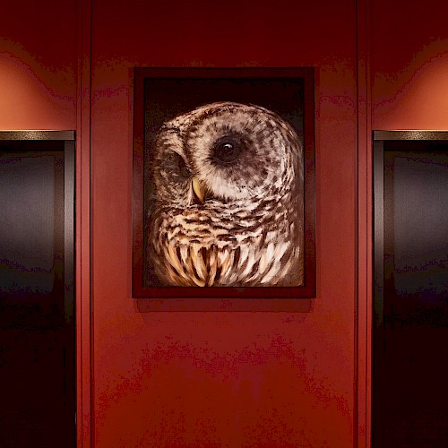 The Scarlet Hotel, Lincoln, a Tribute Portfolio Hotel